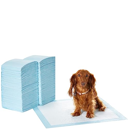 Amazon Basics Almohadillas de adiestramiento de perros y cachorros, diseÃ±o de 5 capas a prueba de fugas con superficie de secado rÃ¡pido, regular, 56 x 56 cm, 150 unidades, Azul