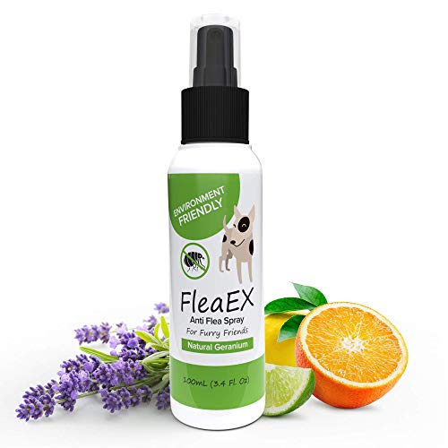 FleaEx Spray Repelente para Perros y Gatos - Anti Pulgas y Garrapatas, Alternativa Eco a Insecticida - Spray Antiparasitario Natural sin TÃ³xicos, 100ml