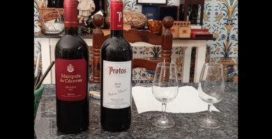 Descubre el sabor único del arribeño vino: una joya enológica de la región